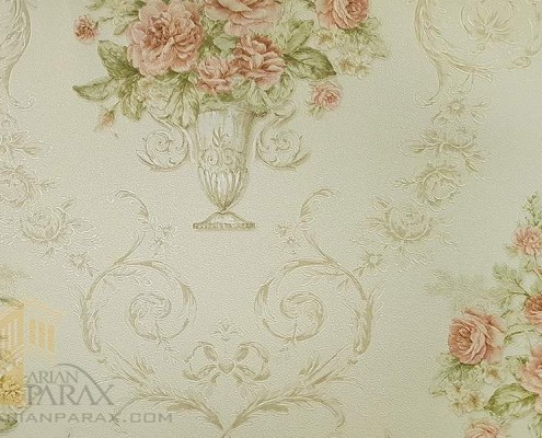 81032-1-arianparax 81032-1