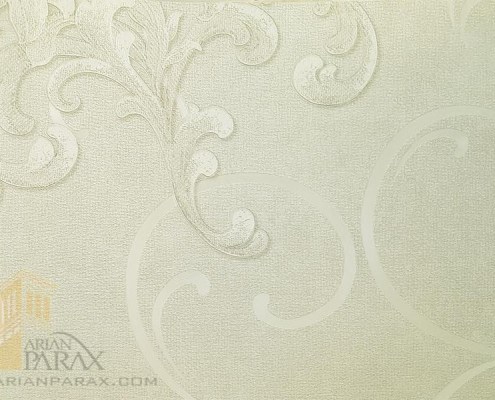 81038-1-arianparax 81038-1