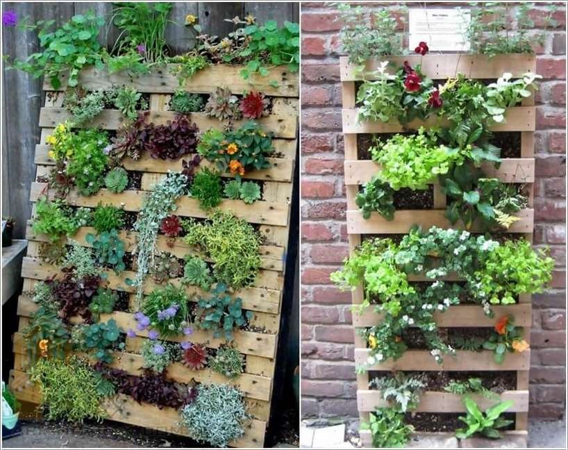 طراحی باغچه حیاط