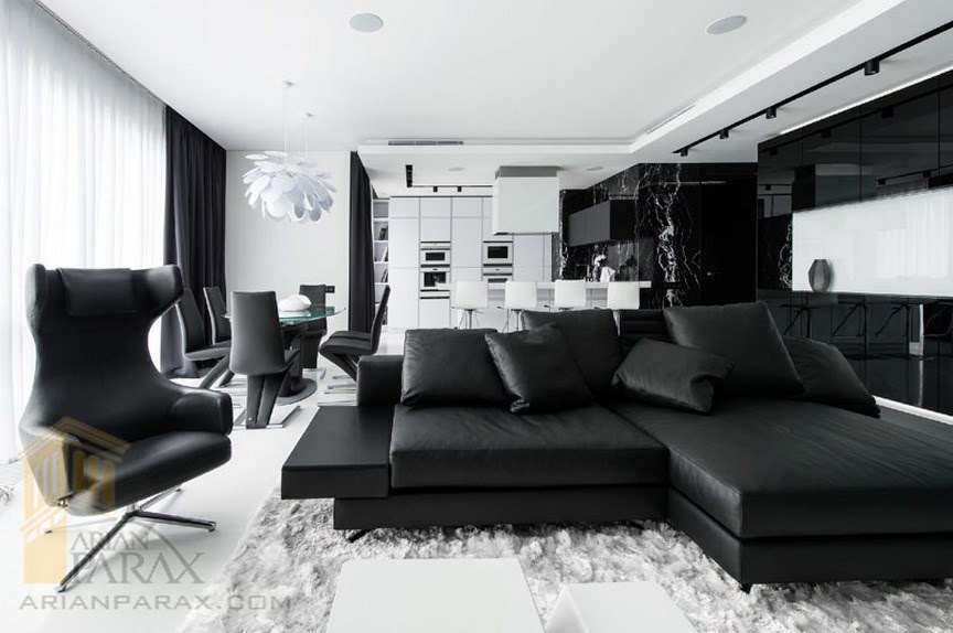 دیزاین آپارتمان با رنگ سیاه و سفید