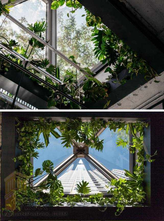 معماری رستوران ژاپنی