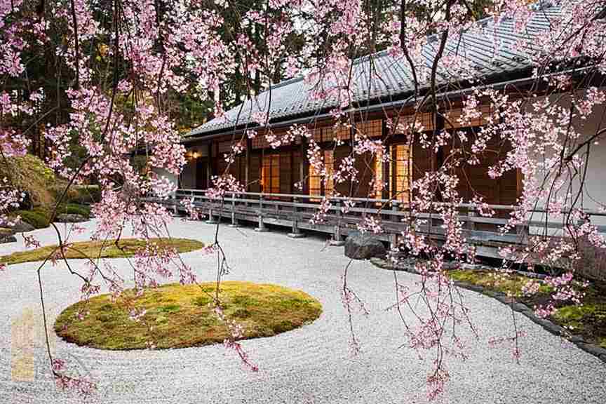 سبک باغ ژاپنی در طراحی محوطه 